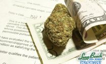 What Legalizing the Sale of Marijuana Means