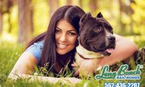 Animal Abuse Is Against the Law
