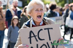 What are protesters rights